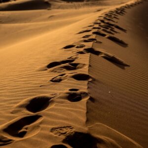 Deus nunca deixa a gente atravessar um deserto sozinho