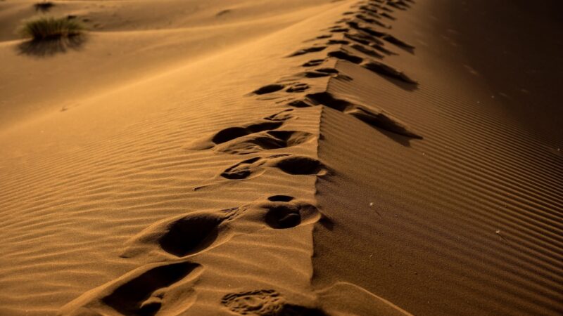 Deus nunca deixa a gente atravessar um deserto sozinho