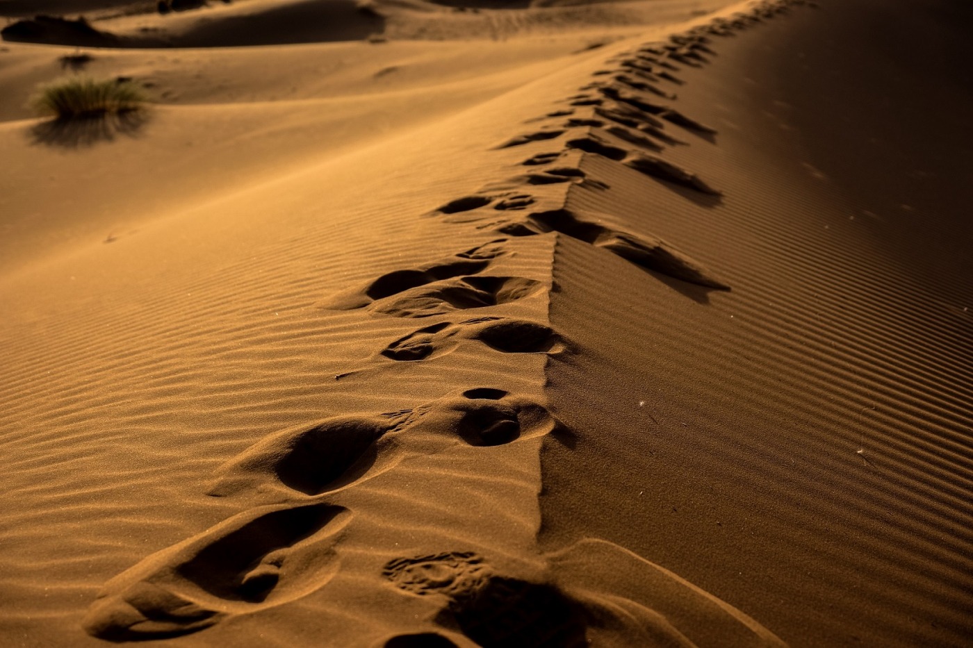 Deus nunca deixa a gente atravessar um deserto sozinho